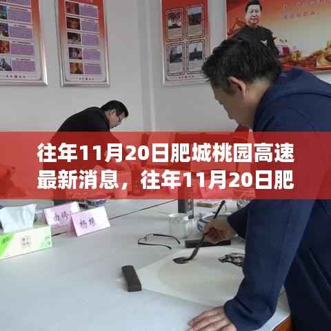 往年11月20日肥城桃园高速建设进展及影响分析最新消息揭秘