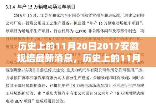 历史上的11月20日安徽规培最新动态深度分析与观点阐述