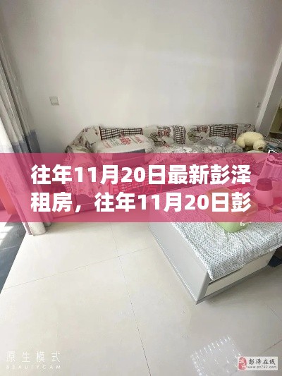 彭泽租房资讯,最新房源推荐与租房攻略,热门选择一网打尽!