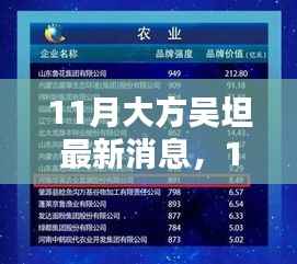 11月大方吴坦最新消息全面解析,特性、体验、竞品对比及用户群体深度分析