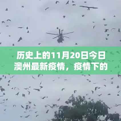 澳州疫情下的日常故事,疫情奇遇与温馨日常(11月20日报道)