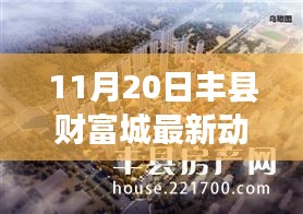 揭秘丰县财富城最新动态,11月20日精彩纷呈,抢先看精彩活动