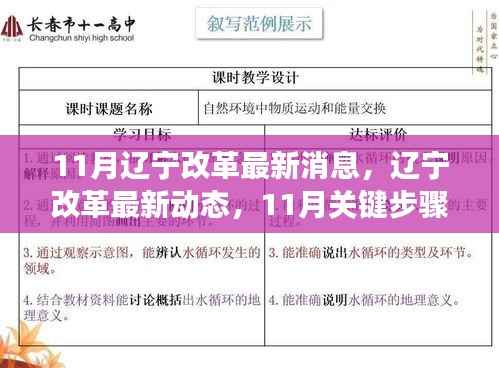 辽宁改革最新动态,11月关键步骤指南及初学者进阶必读资讯