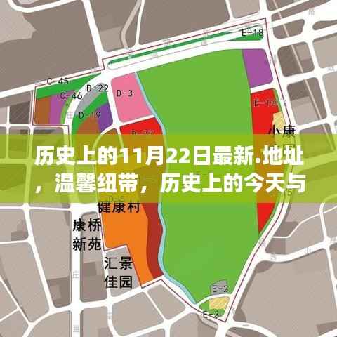 温馨纽带,历史上的今天与朋友的奇妙日常——历史上的11月22日最新回顾