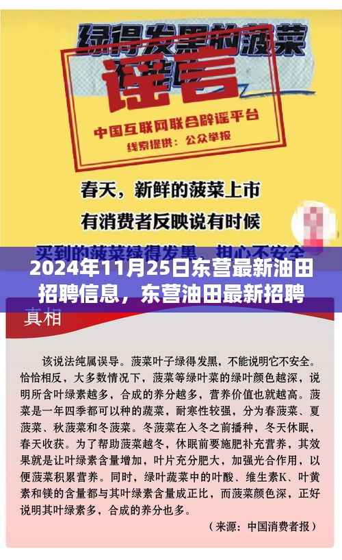 探寻未来石油精英的机遇与挑战,东营油田最新招聘信息发布(2024年11月25日)