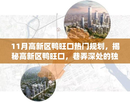 揭秘高新区鸭旺口,独特魅力与美食宝藏的热门规划之旅