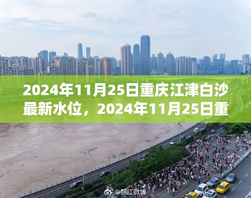 2024年11月25日重庆江津白沙水位实时更新与动态报告