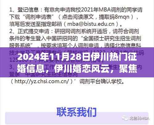 伊川婚恋风云,聚焦征婚热潮,最新热门征婚信息(2024年11月28日)