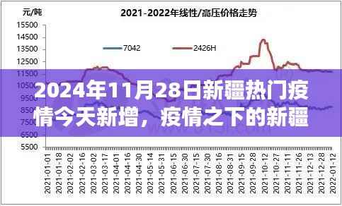 聚焦新疆疫情,2024年11月28日新增病例动态