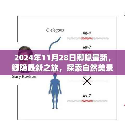 卿隐最新探索之旅,自然美景的心灵之旅,寻找内心宁静的奇妙之旅。