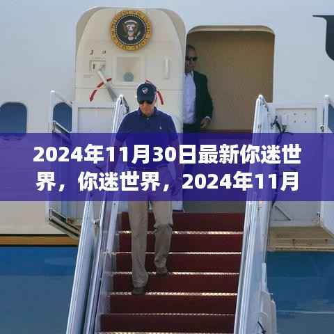 新视角下的你迷世界,2024年11月30日深度探讨