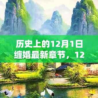 12月1日缠婚温情纽带,历史回顾与日常点滴