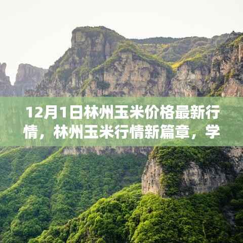 林州玉米最新行情,学习变化的力量,成就感的闪耀时刻
