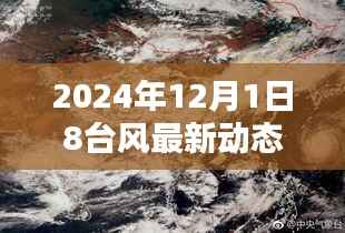 台风小风波下的温馨日常与家的温暖——最新台风动态报道