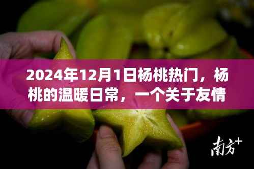 杨桃的温暖日常,友情、爱与陪伴的温馨故事,杨桃热潮来袭!