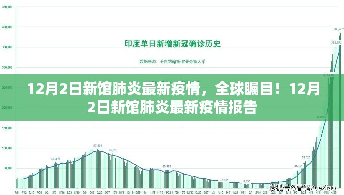 全球瞩目的新馆肺炎疫情,最新报告揭示最新进展(12月2日)