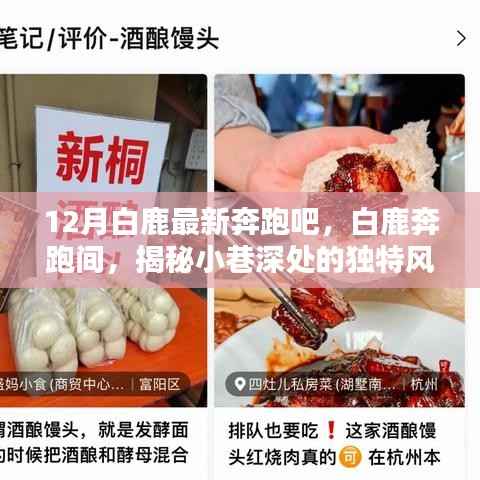 白鹿奔跑间揭秘,宝藏小店,小巷深处的独特风味