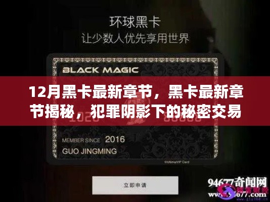 犯罪阴影下的秘密交易,黑卡最新章节揭秘