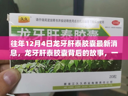 龙牙肝泰胶囊最新消息背后的故事,自然美景治愈之旅揭秘