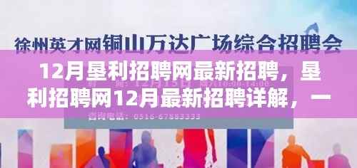 垦利招聘网12月最新招聘详解,如何轻松找到心仪职位?