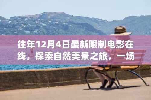 往年12月4日新映电影,心灵觉醒的自然美景探索之旅
