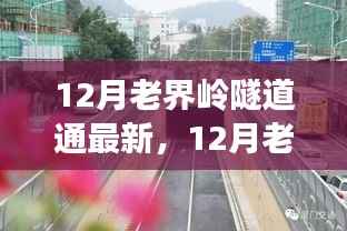 老界岭隧道最新进展,通车在即,未来展望引人瞩目