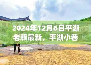 平湖老赖美食冒险之旅,隐藏瑰宝的探寻与美食之旅(最新消息)