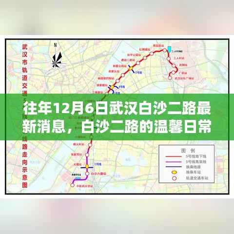 武汉白沙二路,温馨日常与惊喜相伴的12月6日最新消息