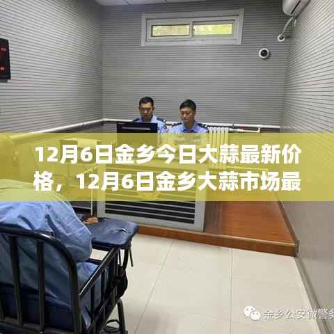 12月6日金乡大蒜最新价格及市场行情分析