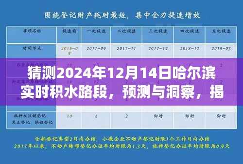 揭秘哈尔滨未来积水路段预测,以2024年12月14日积水路段分析为例的洞察与预测