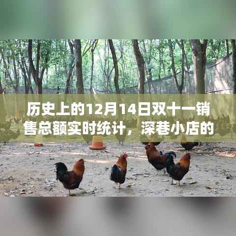 揭秘历史双十一销售奇迹,深巷小店的秘密与实时销售总额统计背后的故事