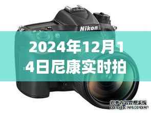 揭秘尼康实时拍摄场景,捕捉精彩瞬间的体验之旅(2024年12月14日)