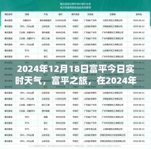 富平之旅,在冬日自然美景中寻找内心的宁静与平和