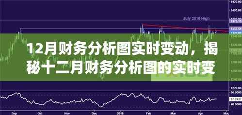 揭秘十二月财务分析图实时变动,洞悉要点,把握先机先机!