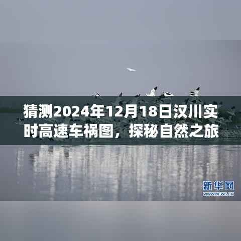 汉川高速车祸最新猜测与车祸背后的宁静美景探秘之旅(实时更新)