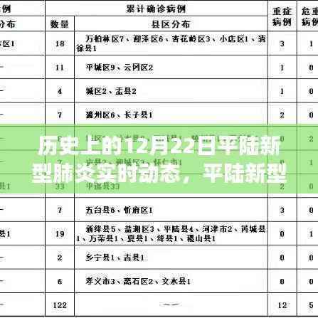平陆新型肺炎下的自然探索之旅,寻找内心平静的奇妙历程(实时动态更新)