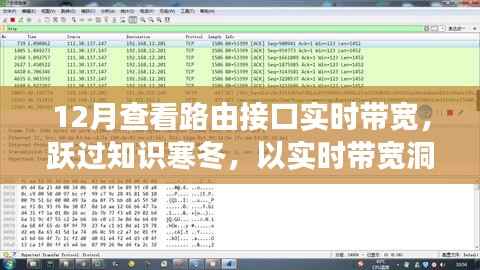 实时带宽监控,点亮成长之路,跃过知识寒冬的必备工具