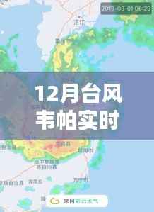 台风韦帕实时动态路径解析,台风季节必备知识