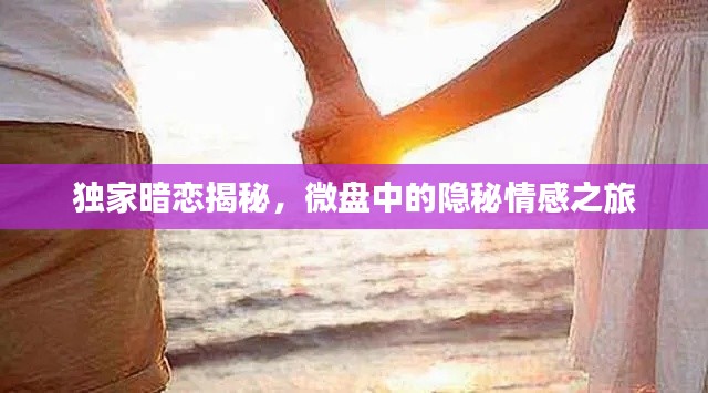 独家暗恋揭秘,微盘中的隐秘情感之旅