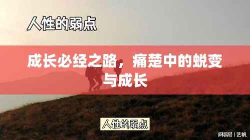 成长必经之路,痛楚中的蜕变与成长
