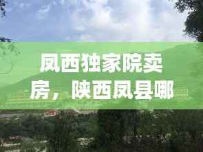 凤西独家院卖房,陕西凤县哪有单家独院出售