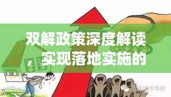 双解政策深度解读,实现落地实施的秘诀是什么?