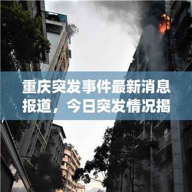 重庆突发事件最新消息报道,今日突发情况揭秘