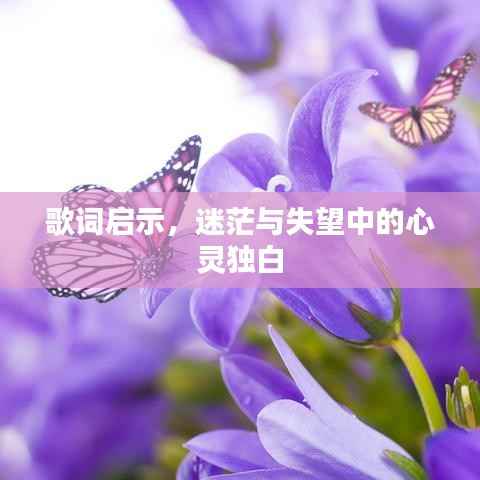 歌词启示,迷茫与失望中的心灵独白