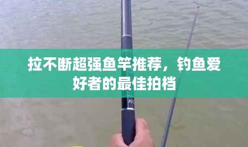 拉不断超强鱼竿推荐,钓鱼爱好者的最佳拍档