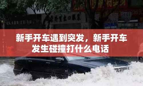 新手开车遇到突发,新手开车发生碰撞打什么电话