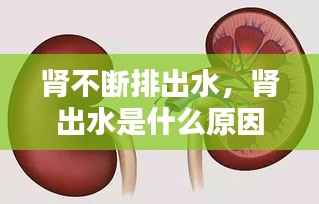 肾不断排出水,肾出水是什么原因分析