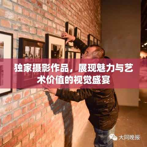 独家摄影作品,展现魅力与艺术价值的视觉盛宴