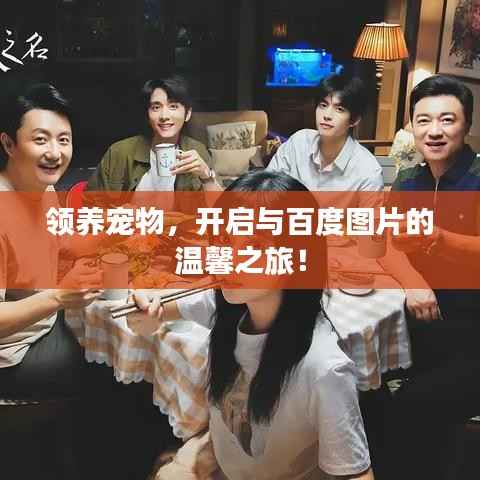 领养宠物,开启与百度图片的温馨之旅!