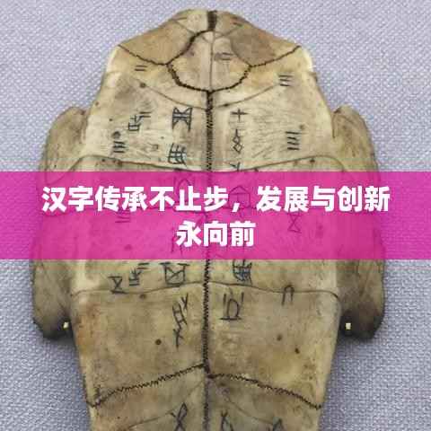 汉字传承不止步,发展与创新永向前